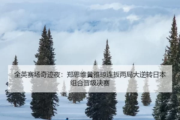 quan-ying-sai-chang-qi-ji-ye-zheng-si-wei-huang-ya-qiong-lian-ban-liang-ju-da-ni-zhuan-ri-ben-zu-he-jin-ji-jue-sai-2-118.jpg