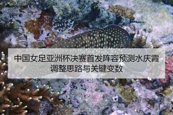 zhong-guo-nv-zu-ya-zhou-bei-jue-sai-shou-fa-zhen-rong-yu-ce-shui-qing-xia-tiao-zheng-si-lu-yu-guan-jian-bian-shu-2-123.jpg